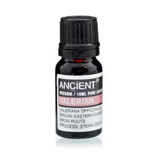 Valerian Essential Oil  is known for its calming and relaxing properties. With its distinct earthy and musky aroma,  valerian essential oil is often used in aromatherapy to help promote restful sleep, reduce anxiety and stress, and ease tension in both the mind and body.  This oil is said to have sedative effects that can help calm the nervous system and promote relaxation. 
