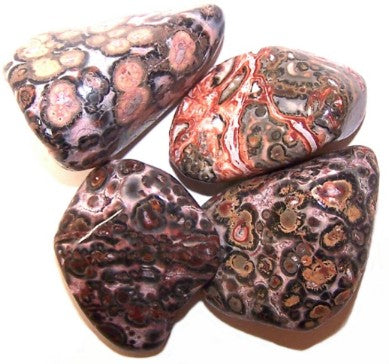 Leopard Skin Large Tumblestone - Melluna_UK